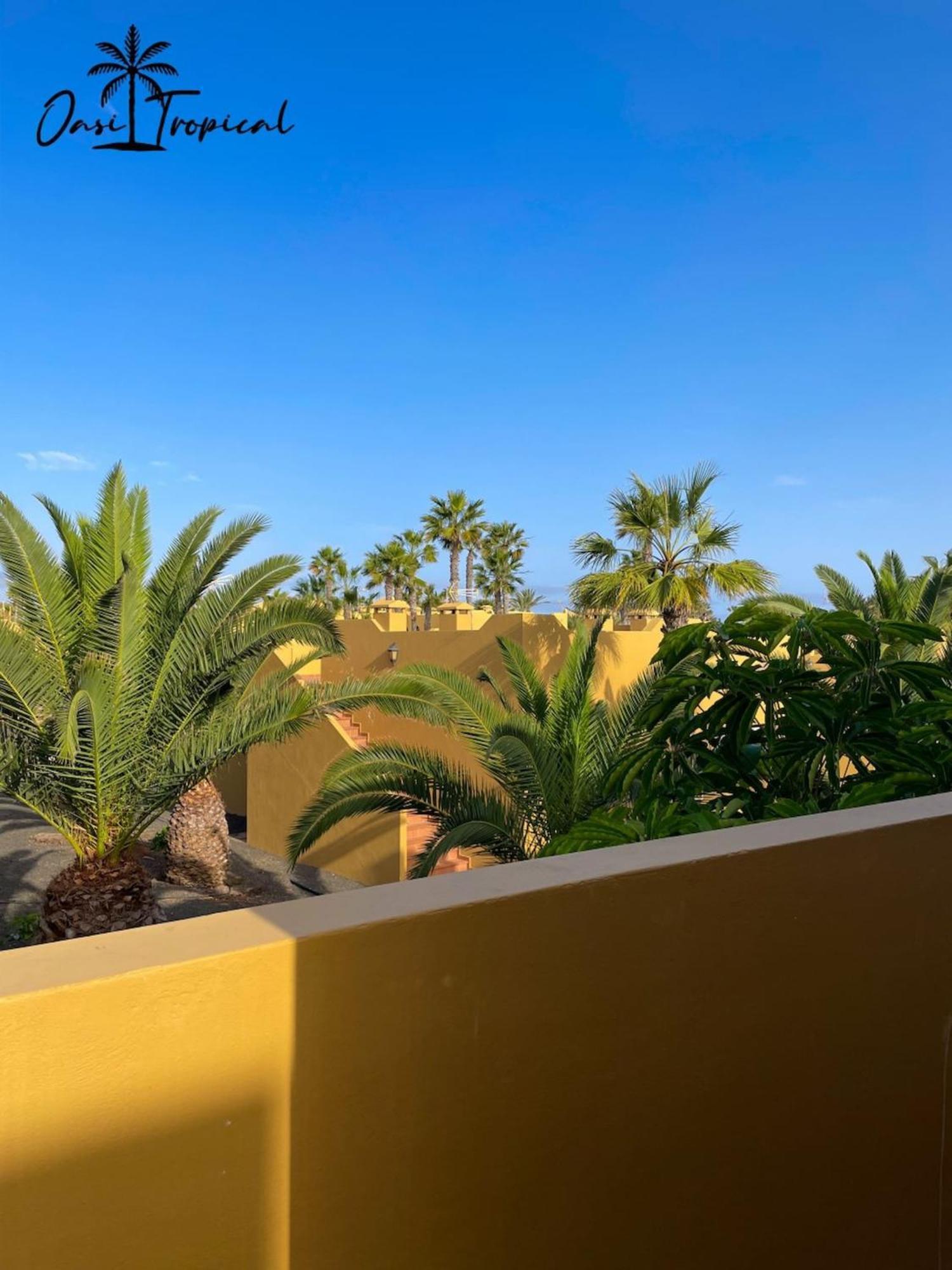 Oasi Tropical Wifi Free By Rentalfue Corralejo Luaran gambar
