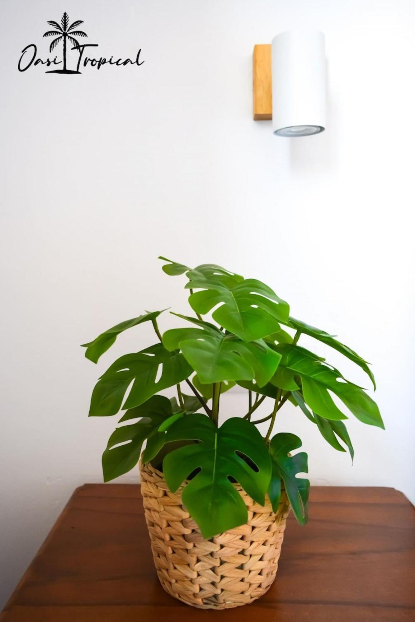 Oasi Tropical Wifi Free By Rentalfue Corralejo Luaran gambar