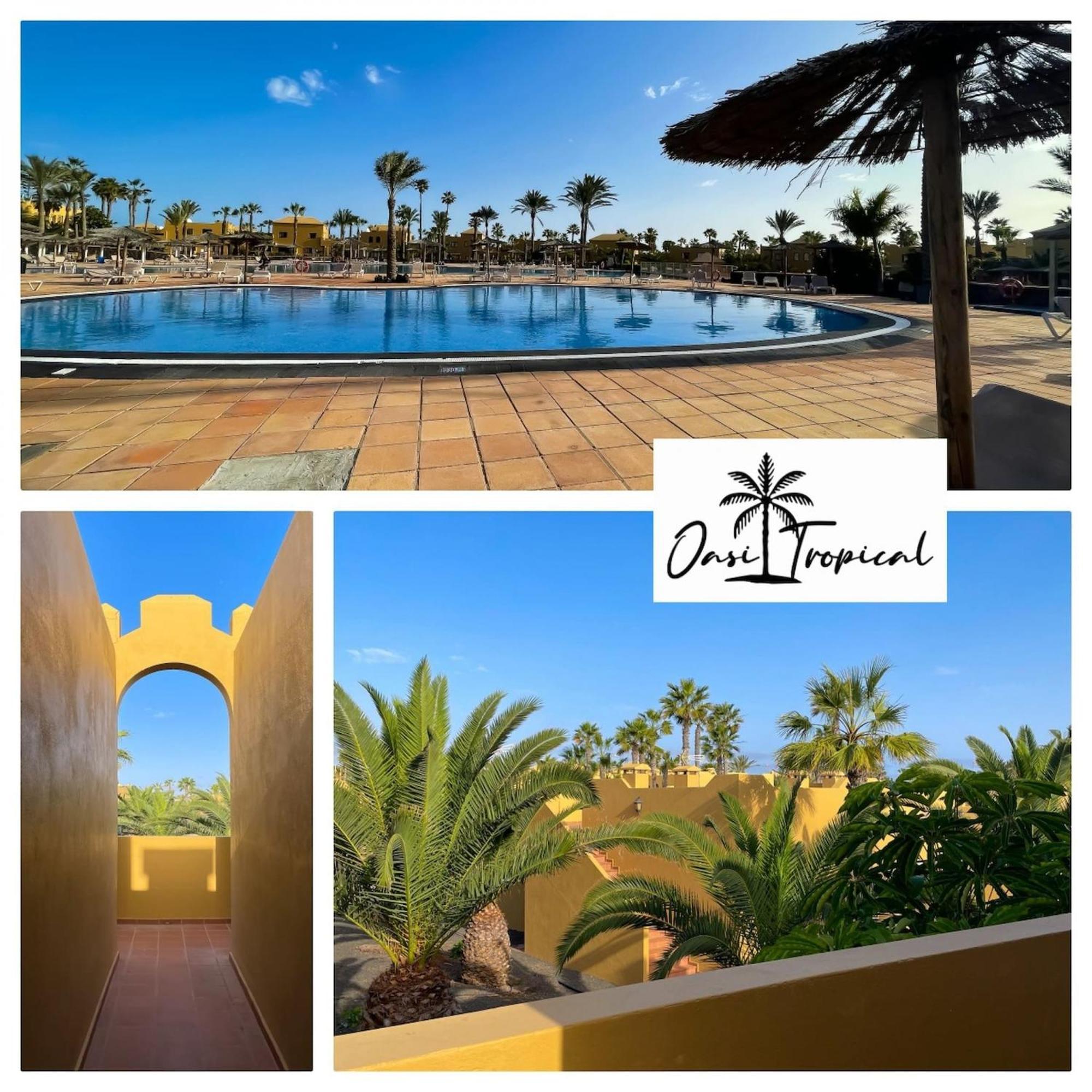 Oasi Tropical Wifi Free By Rentalfue Corralejo Luaran gambar
